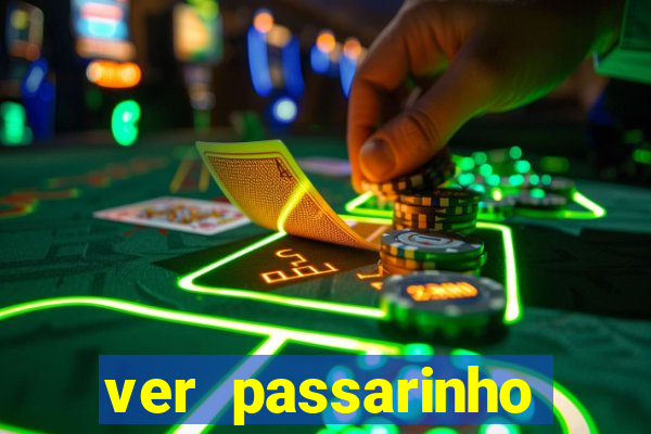 ver passarinho morto significado